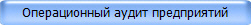 Операционный аудит предприятий